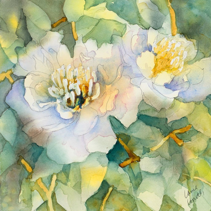 Picture of WHITE PEONY GARDEN