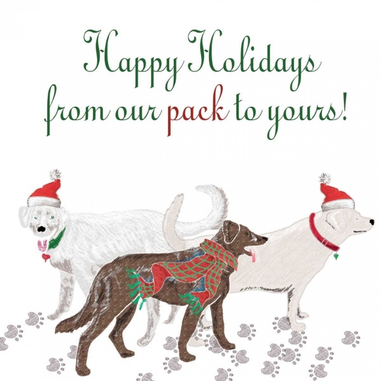 Picture of WOOF HOLIDAY PACK I