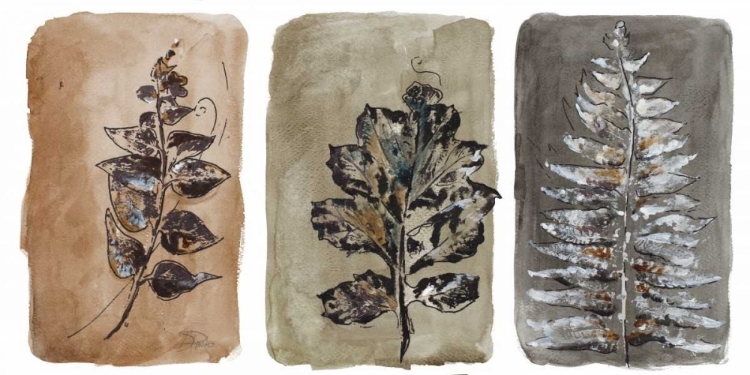 Picture of WATERCOLOR SEPIA LEAVES II