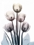 Picture of SPRINGING TULIPS 2