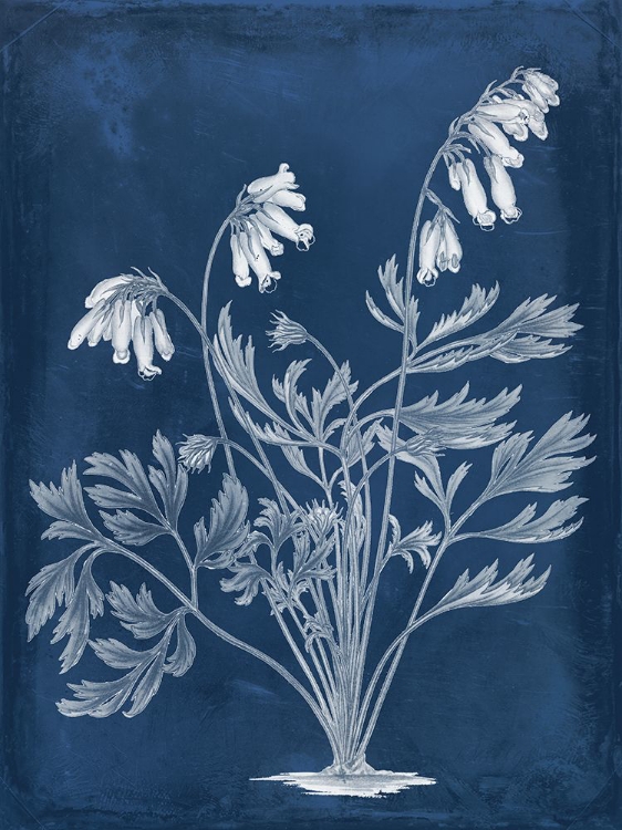 Picture of BOTANICAL IN INDIGO I