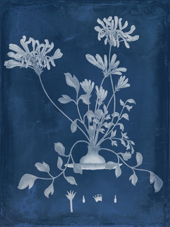 Picture of BOTANICAL IN INDIGO II