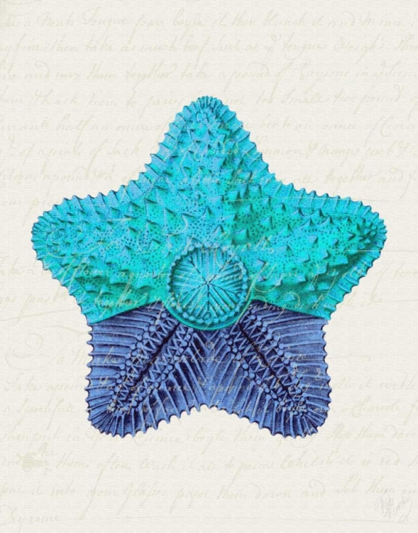 Picture of STARFISH IN SHADES OF BLUE C