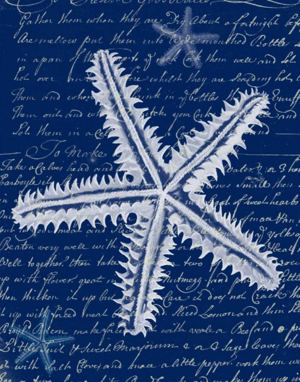 Picture of WHITE STARFISH ON BLUE A