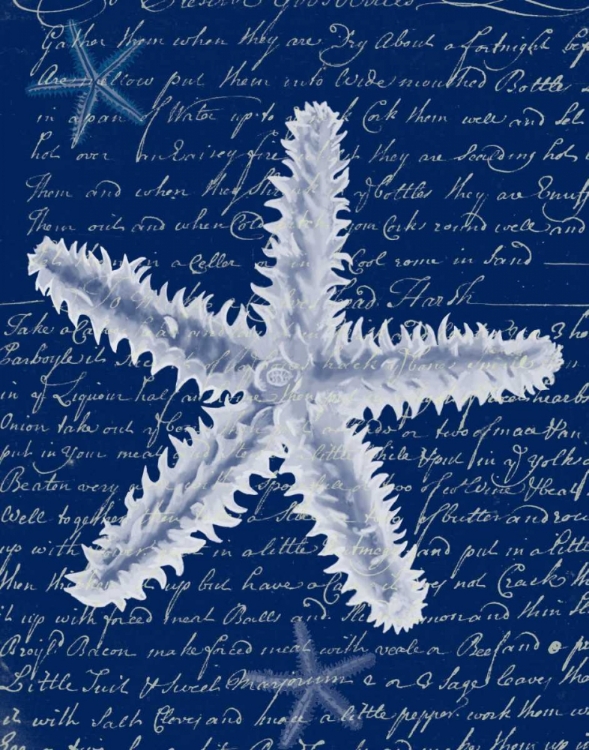 Picture of WHITE STARFISH ON BLUE B
