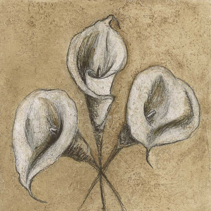 Picture of CALLA LILY IV