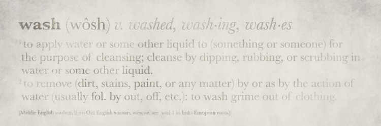 Picture of DEFINITIONS - WASH I