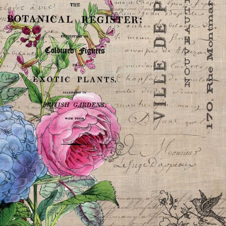 Picture of BOTANICAL REGISTER 1