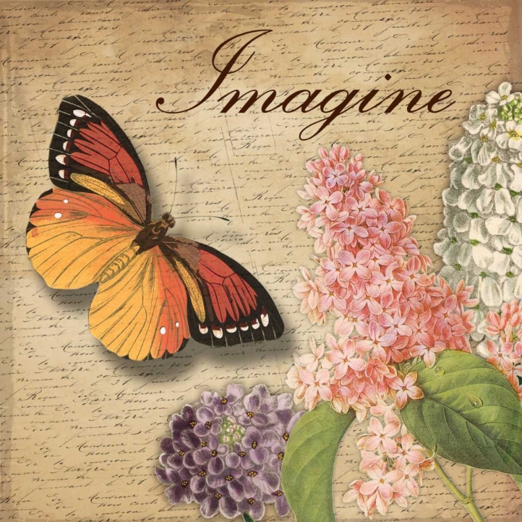 Picture of IMAGINE