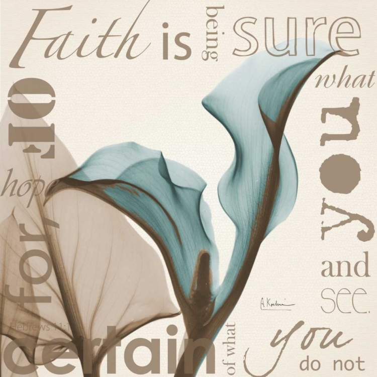 Picture of FAITH - BLUE CALLA LILY