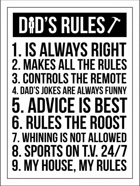 Picture of DADS RULES