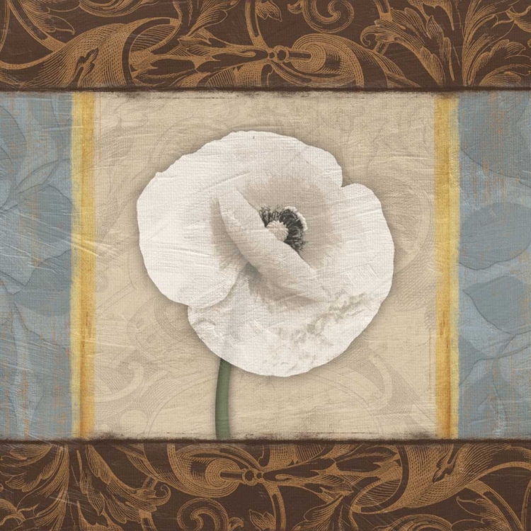 Picture of WHITE POPPY 1