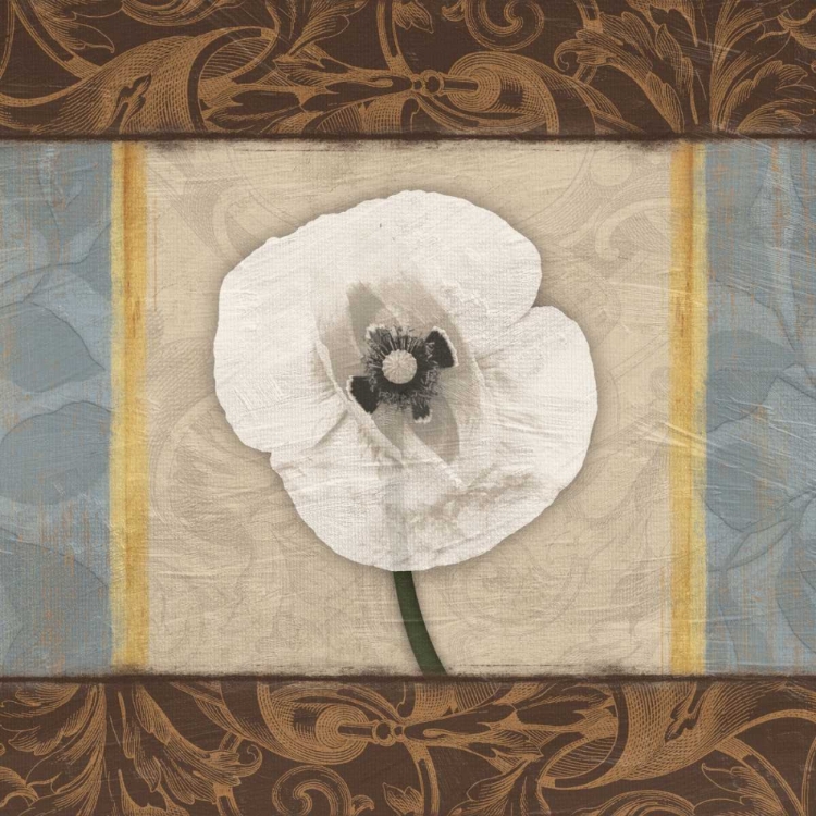 Picture of WHITE POPPY 2