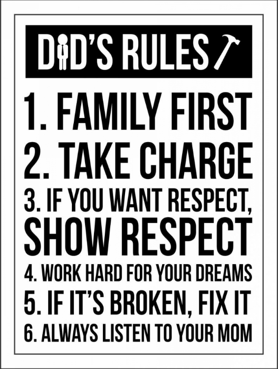 Picture of DAD RULES III