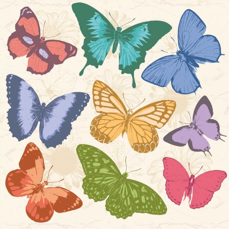 Picture of COLORFUL BUTTERFLIES FULL