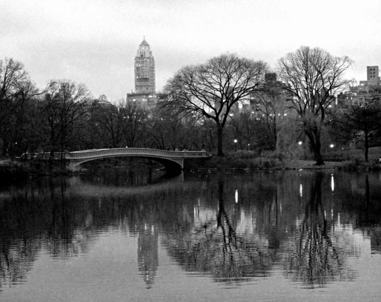 Picture of NYC SKYLINE V