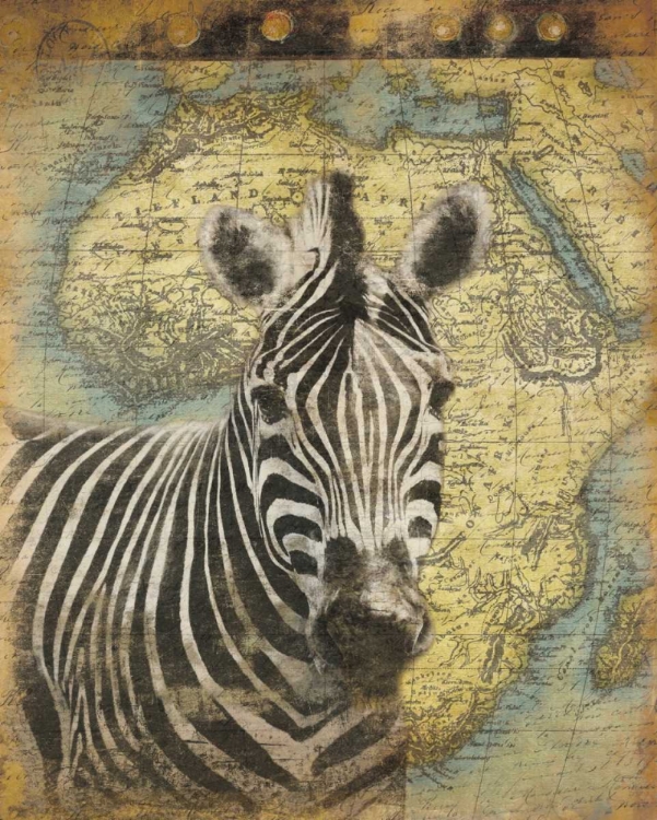 Picture of ZEBRA AFRICA