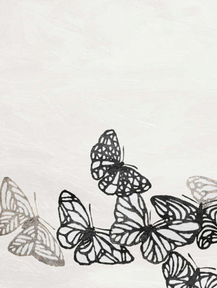 Picture of BUTTERFLIES