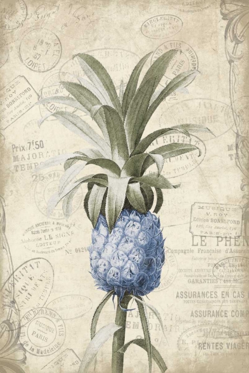 Picture of BLUE PINEAPPLE