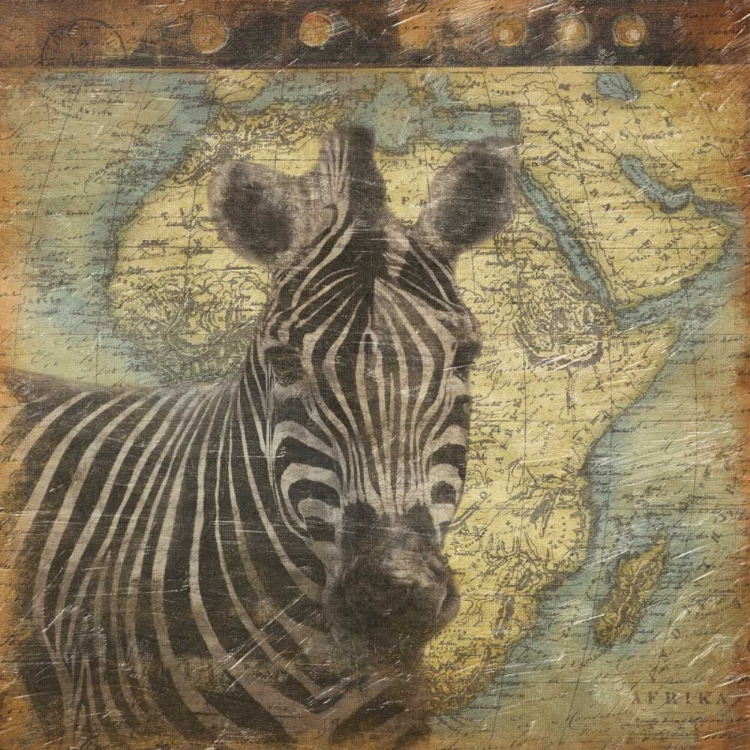 Picture of ZEBRA TRAVEL