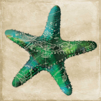 Picture of MAP STARFISH