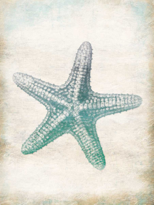 Picture of STARFISH