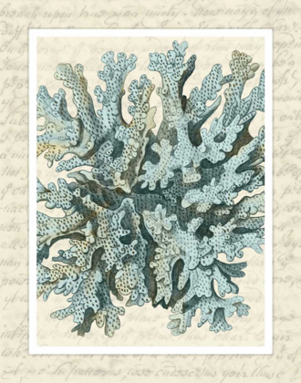 Picture of BLUE CORALS ON VINTAGE SCRIPT C