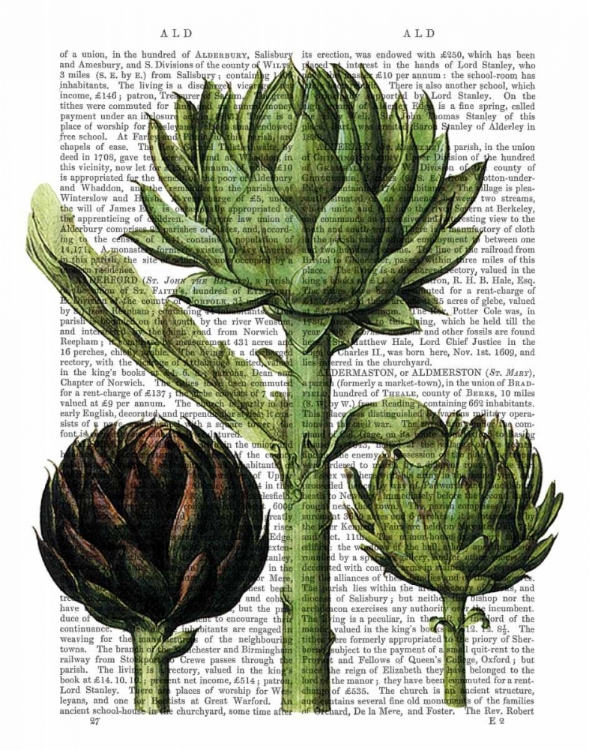 Picture of GLOBE ARTICHOKE PRINT 1