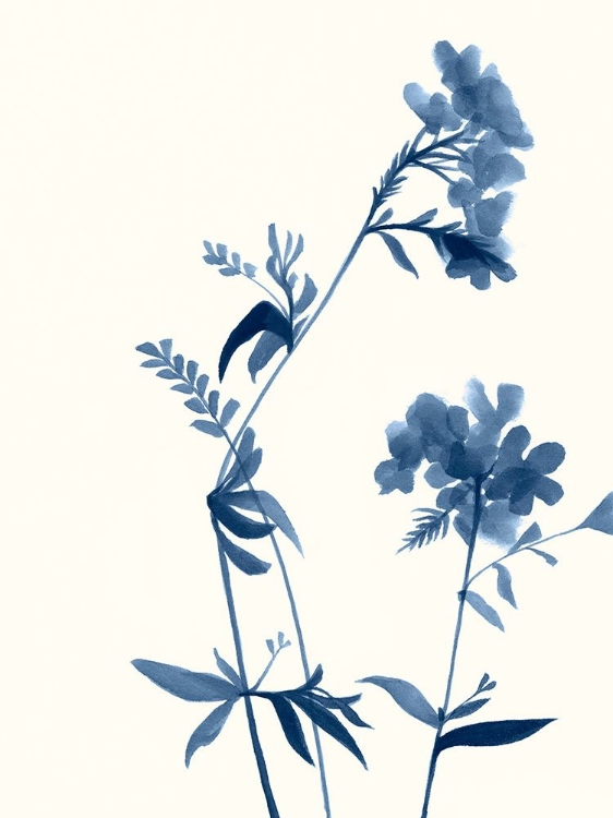 Picture of INDIGO WILDFLOWERS II