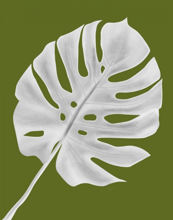 Picture of MONSTERA LEAF 1, WHITE ON GREEN