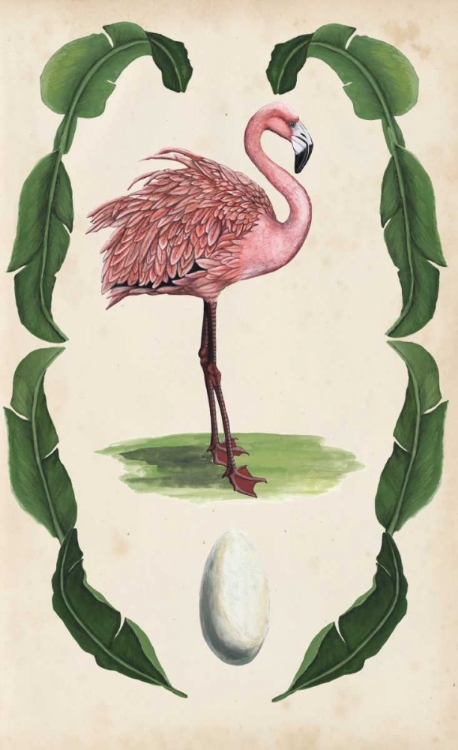 Picture of ANTIQUARIAN MENAGERIE - FLAMINGO I