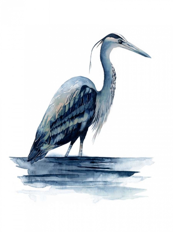 Picture of AZURE HERON II