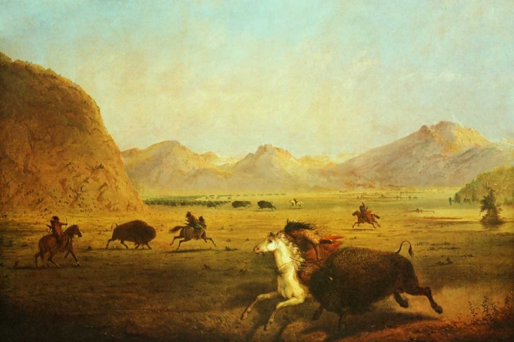 Picture of BUFFALO HUNT