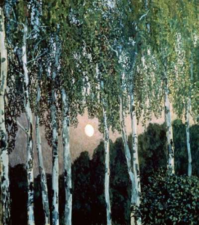 Picture of BIRCH TREES