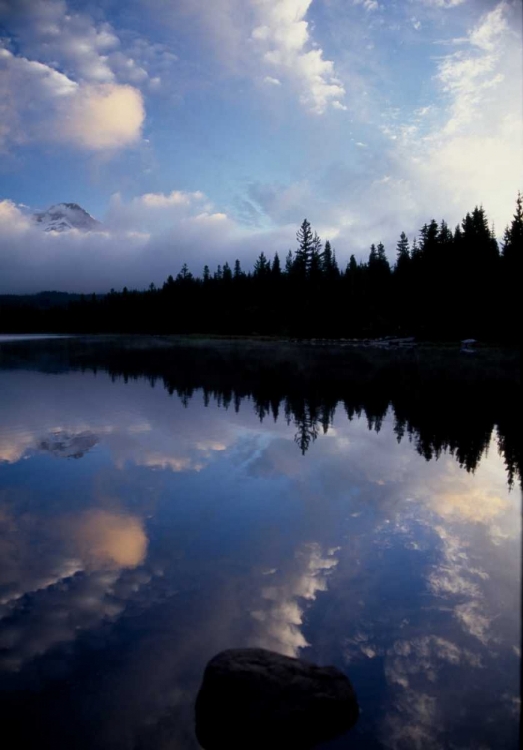 Picture of MT. HOOD VIII