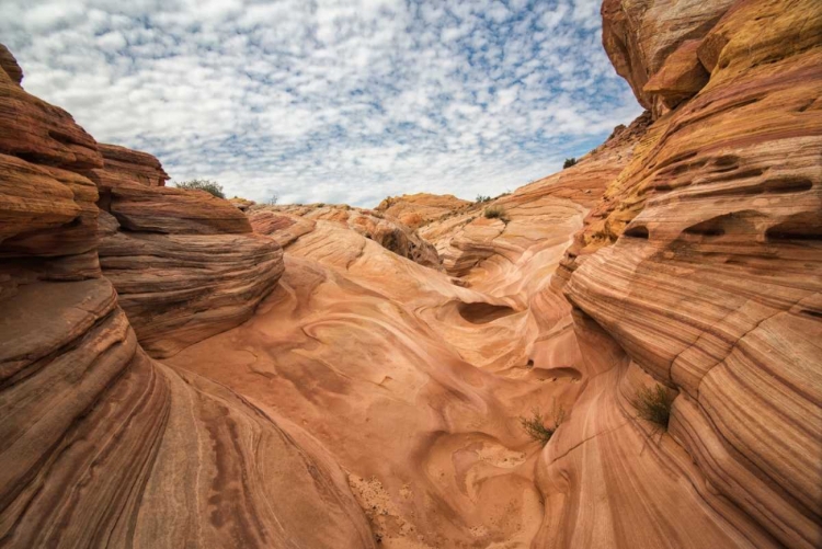 Picture of VALLEY OF FIRE III