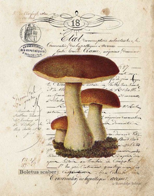 Picture of MUSHROOM II