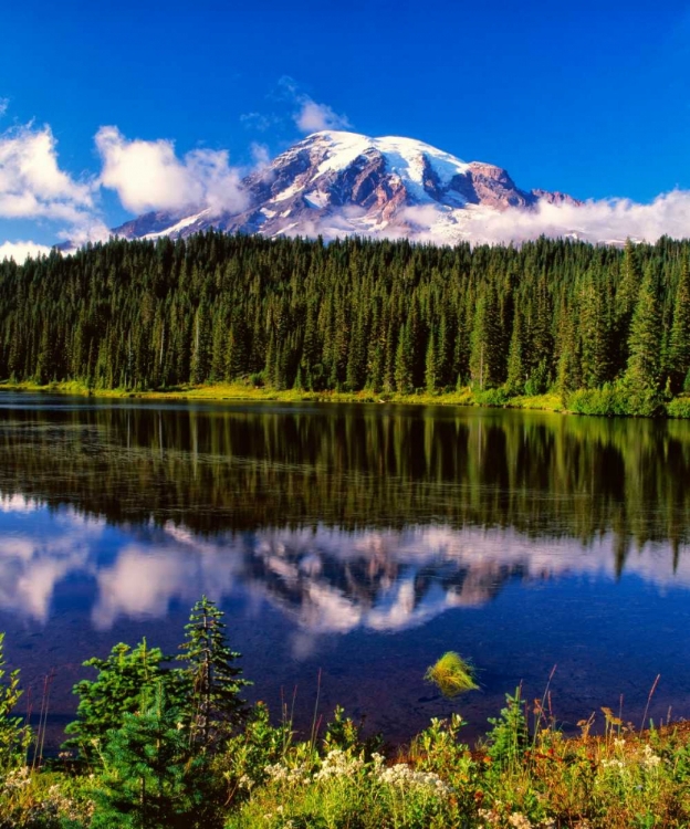 Picture of MT. RAINER II