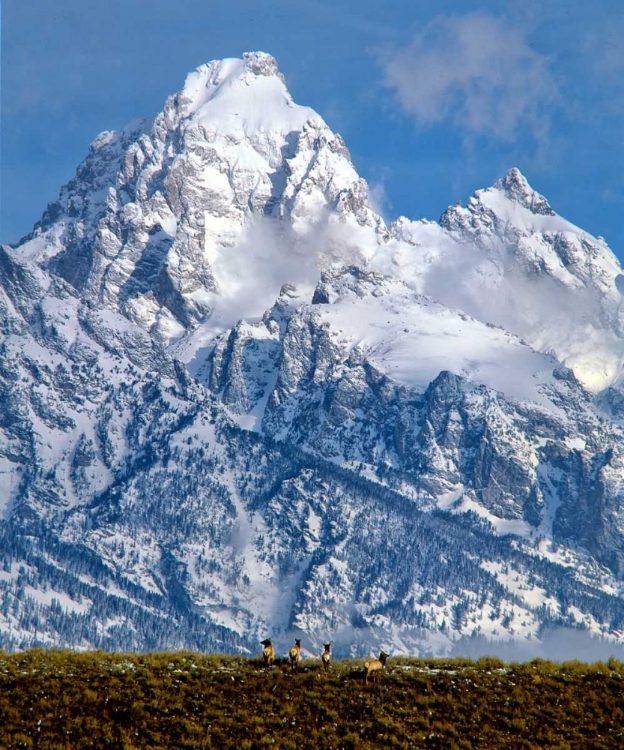 Picture of GRAND TETON NATIONAL PARK V