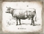 Picture of FRENCH COW II