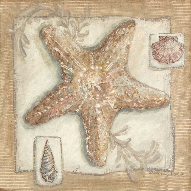 Picture of SANDY STARFISH