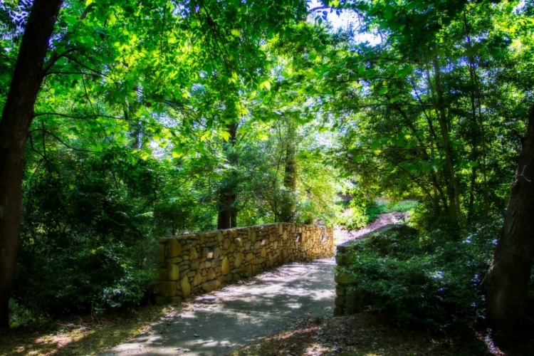 Picture of SHADED BRIDGE I