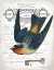 Picture of FRENCH SWALLOW I