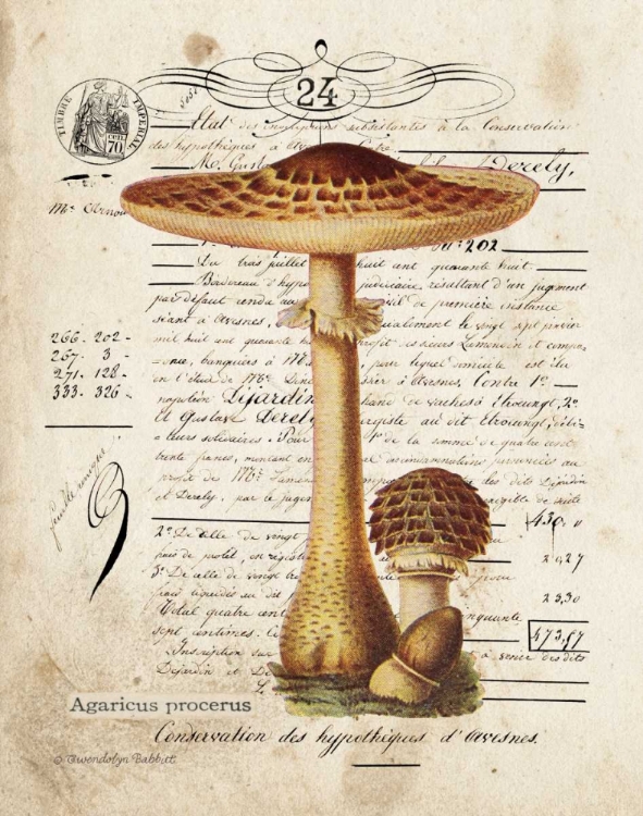 Picture of MUSHROOM I