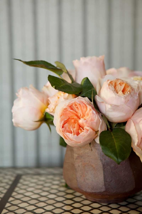 Picture of PEONIES ON TILE