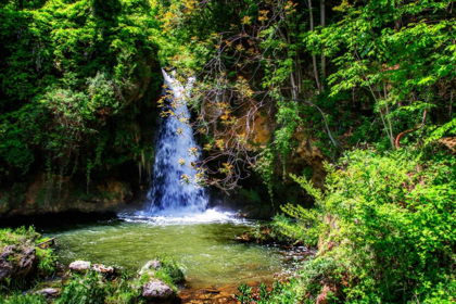 Picture of DEEP WOODS WATERFALL II