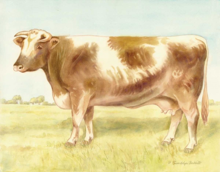 Picture of COW