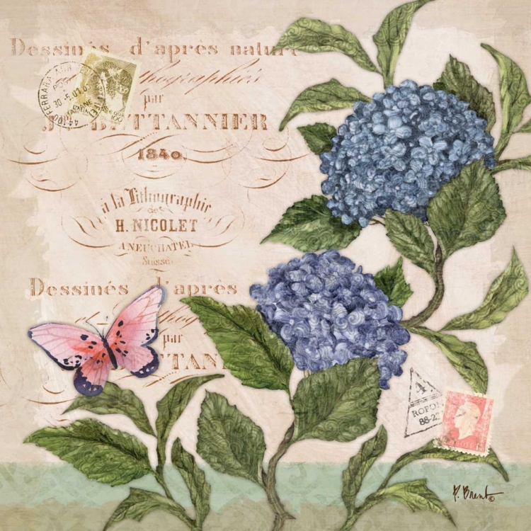 Picture of PARISIAN HYDRANGEAS II