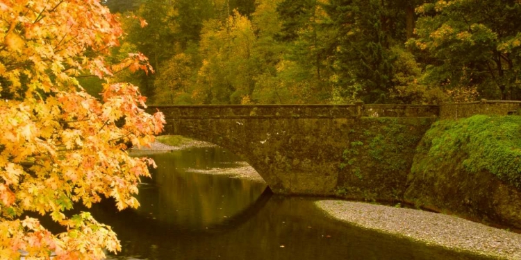 Picture of STONE BRIDGE