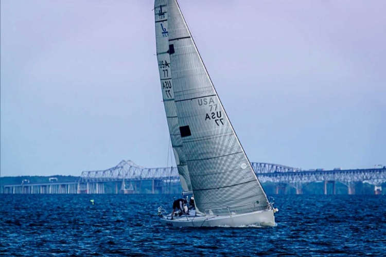 Picture of SAILING AT DUSK I